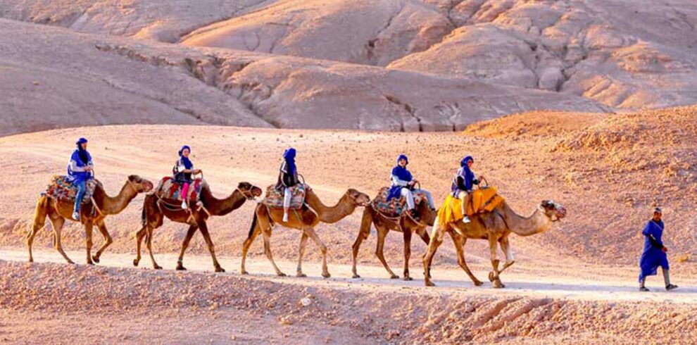 AGAFAY-DESERT-QUAD-CAMEL-TOUR-WITH-DINNER-SHOW-09